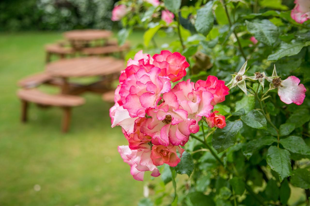Beechwood Close York Luaran gambar